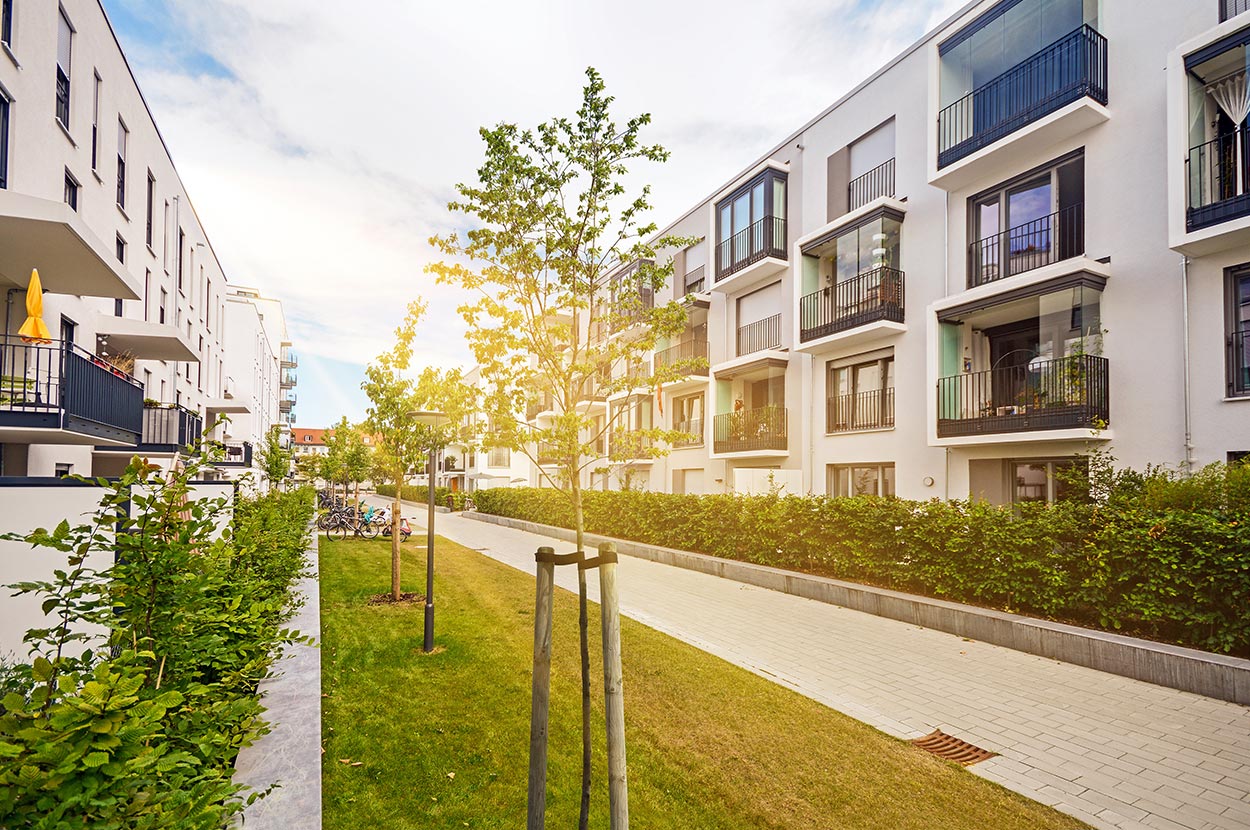 Construction neuve 64, Construction neuve Côte basque, Construction neuve Oloron, Entreprise générale batiment 64, Entreprise générale batiment Côte basque, Entreprise générale batiment Oloron, Génie civil 64, Génie civil Côte basque, Génie civil Oloron, Maçonnerie générale 64, Maçonnerie générale Côte basque, Maçonnerie générale Oloron, Platrerie 64, Platrerie Côte basque, Platrerie Oloron, Rénovation batiment 64, Rénovation batiment Côte basque, Rénovation batiment Oloron, Vielles pierres 64, Vielles pierres Côte basque, Vielles pierres Oloron